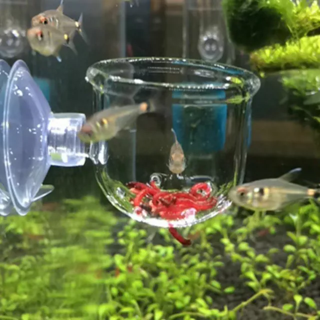 Tank Fish Feeding Feeder Glass Feeding Cup Snail Trap Planarian Leech Catch