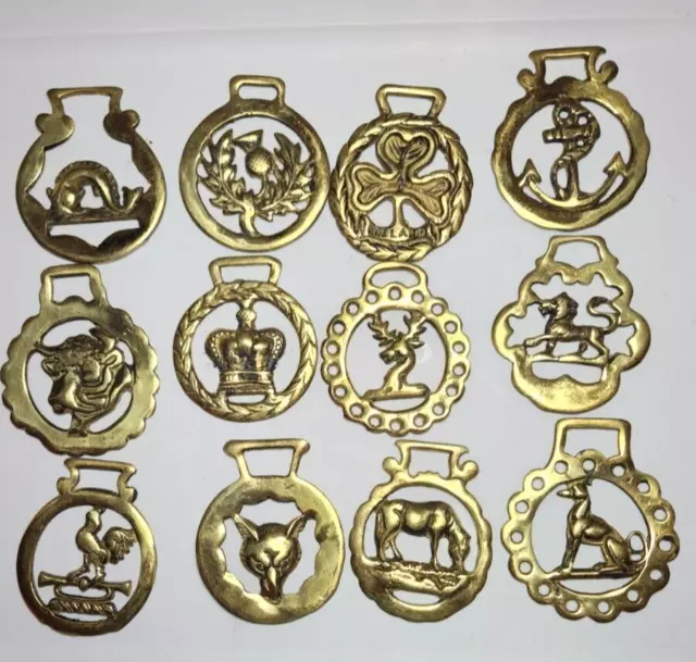 Lot Of 12 Brass Horse Bridle Medallions Equestrian Saddle Halter