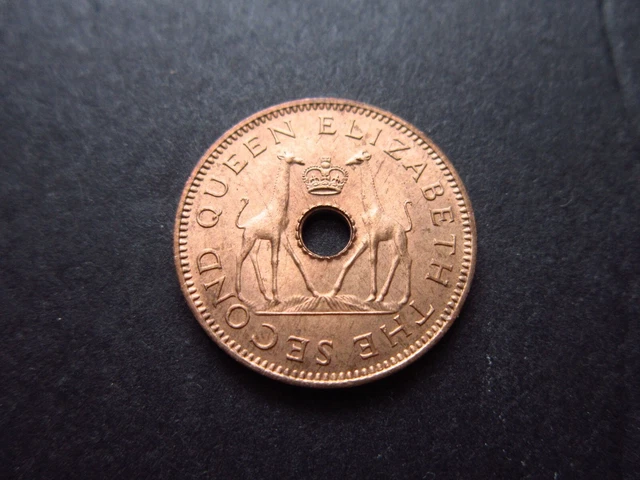 RHODESIA & NYASALAND 1/2 Penny 1958 BU Zimbabwe Zambia Malawi Giraffe Coin 9860#