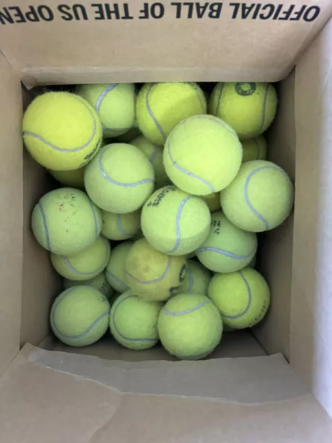 30 Used Tennis Balls For Dogs. All Branded Balls, Wilson, Head, Dunlop, Babolat