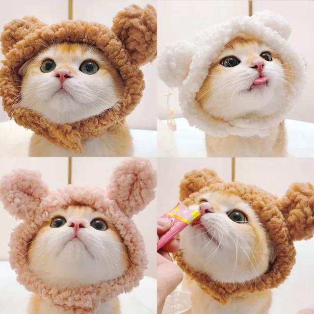 Fluff Plush Bear Cat Hat Comfortable Pet Headwear Cute   Kitten Cat Puppy Dog