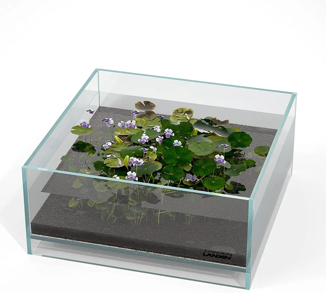 Glass Air Aquarium Tank Multi-Scenelandscape Aquarium, 1.6Gallon Rimless Low Iro