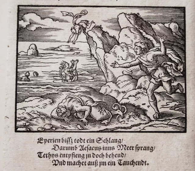 Virgil Solis Aesacus Meer Taucher Erotik Ovid Metamorphosen Holzschnitt 1563 19