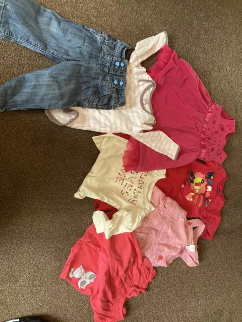 Baby Girls Clothes Bundle  9-12 Months job lot