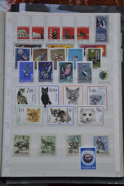 Poland  Post Stamps Mint MH & Used 5 Album Pages #4