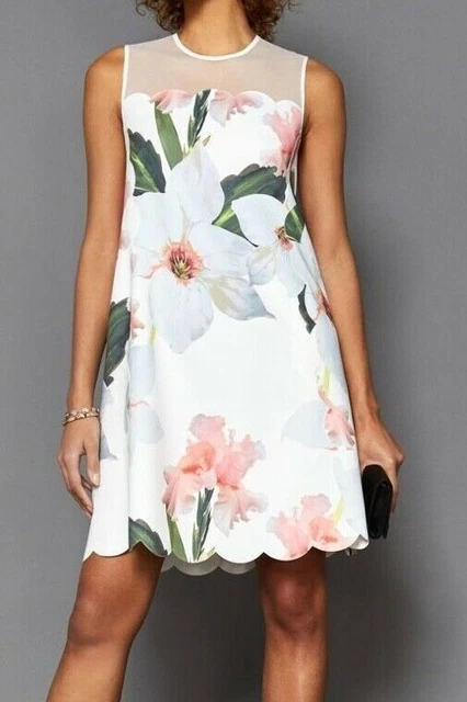 Lynetta chatsworth best sale bloom skater dress