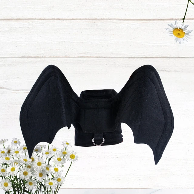 3 PCS Di Pipistrello Gatto Per Cane Domestico Costumi Halloween