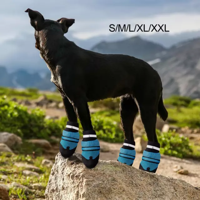 Dog shoes, dog boots, paw protection, dog shoes for rainy floors,