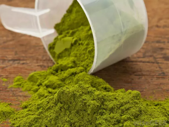 Wheatgrass powder 100% Natural - Raw - Best Tasting Wheatgrass Powder - 5greens 2