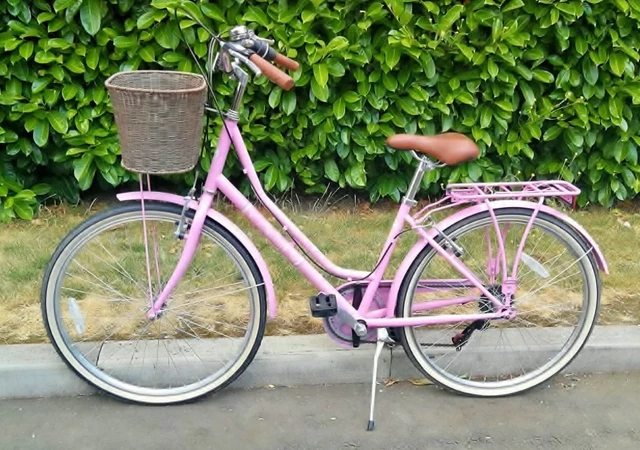 Belgravia Bike Viking Belgravia 16 Inch Frame Buy Viking Bike