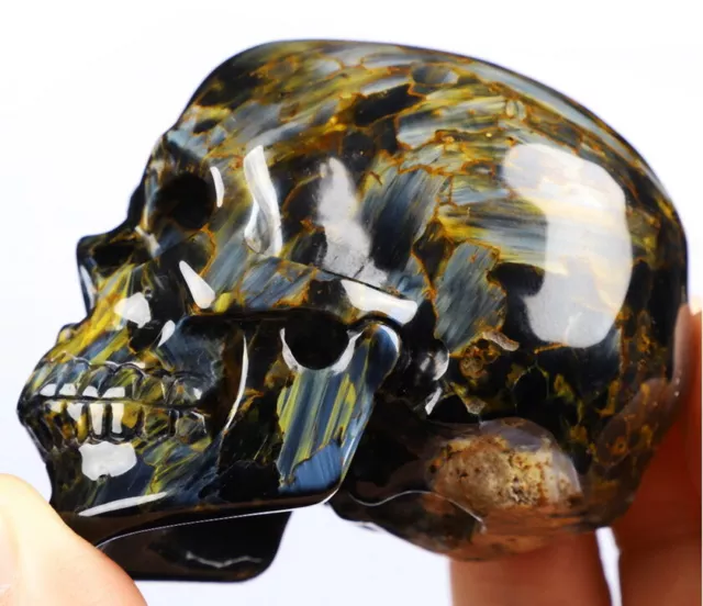 AMAZING Gemstone 2.9" Pietersite Carved Crystal skull,Super Realistic, Healing