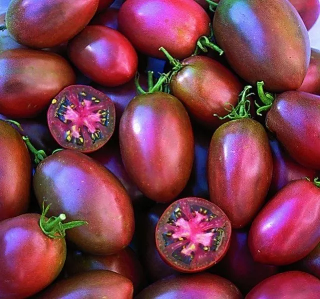 Tomato Ukranian Purple 75 Finest Seeds