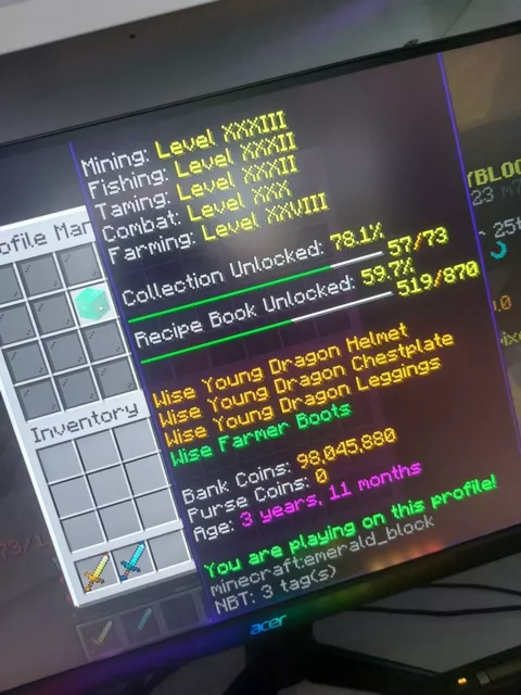 Hypixel Skyblock Coins 10mil - Super Cheap - Fast Delivery