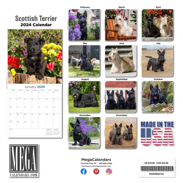 MegaCalendars - Scottish Terrier Calendar 2024 - Dog Breed Wall Calendar 2