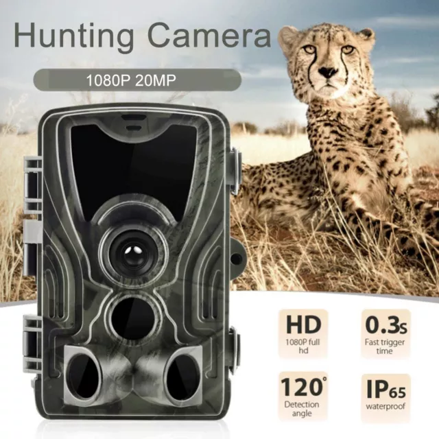Forest Wildlife Surveillance Camera with Excellent Sensitivity and Night Vision