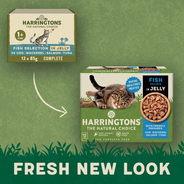 Harringtons Grain Free Wet Cat Food Fish in Jelly - 12x85g
