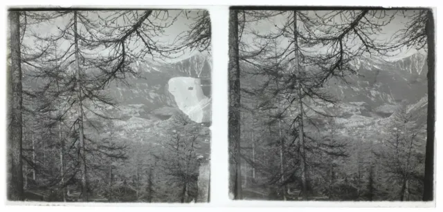 Arbres Paysage c1950 Photo Stereo Amateur Plaque de verre Vintage V36L25n2