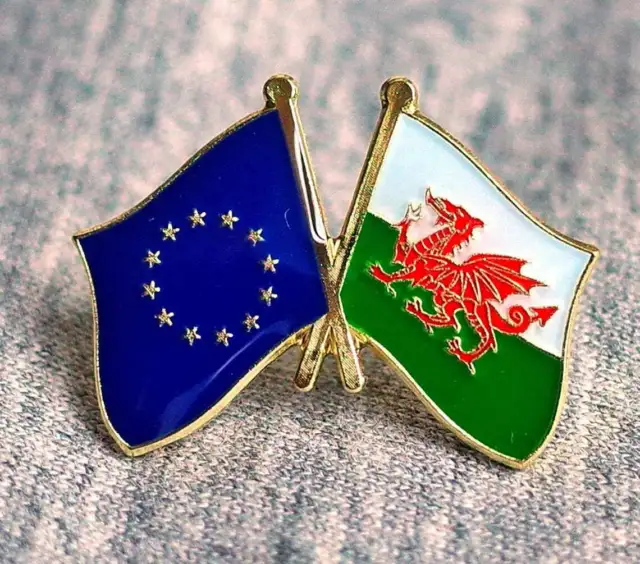 European Union EU Wales - Welsh dragon Flag Friendship Metal Enamel Pin Badge