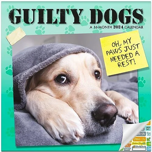 GUILTY DOGS CALENDAR 2024 Deluxe 2024 Guilty Dogs Mini Calendar