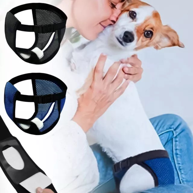 Reusable Diaper Belt 3 Replacement Breathable Mesh Washable Menstrual Diaper