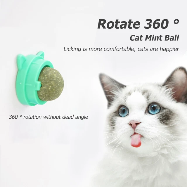 Bola giratoria de menta para gato, bolas naturales para gatos, molares-menta para gatos-Sn