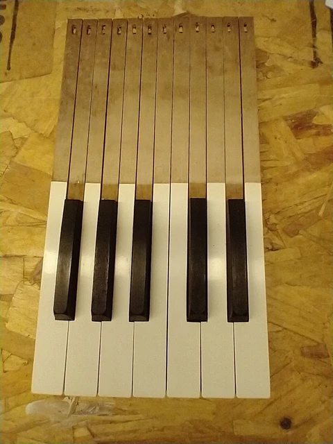 Exceptional Clean Full Octave Set Of Antique Piano Pump Organ Keys & Sharps 1885