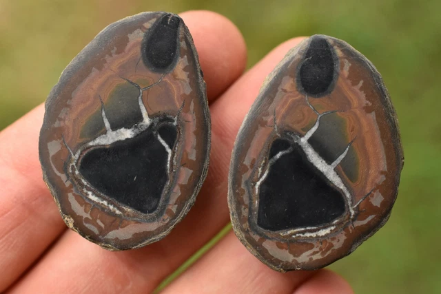 2 *SEPTARIAN NODULE* Halves 4.1cm 29.7g Natural Healing Crystal Geode