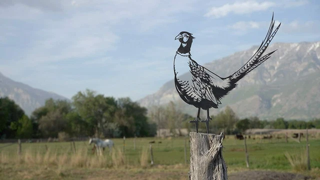 Pheasant Decoration | Garden Art | Backyard Art | Tree Art | Silhouette Art