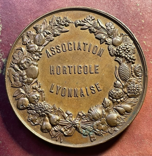 Médaille Sportive Bronze – Ville De Lyon Office Des Sports – Collection Années 1900