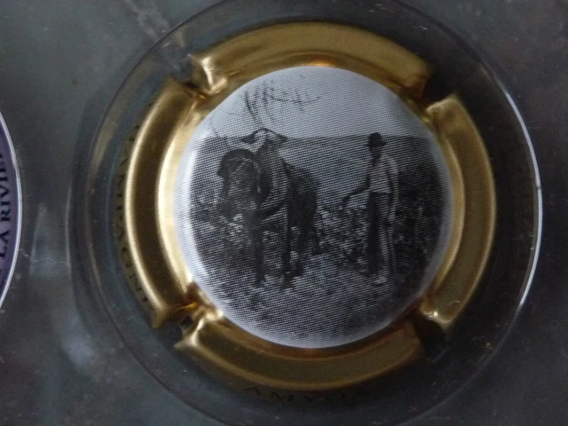 Capsule de champagne Amyot n°13a