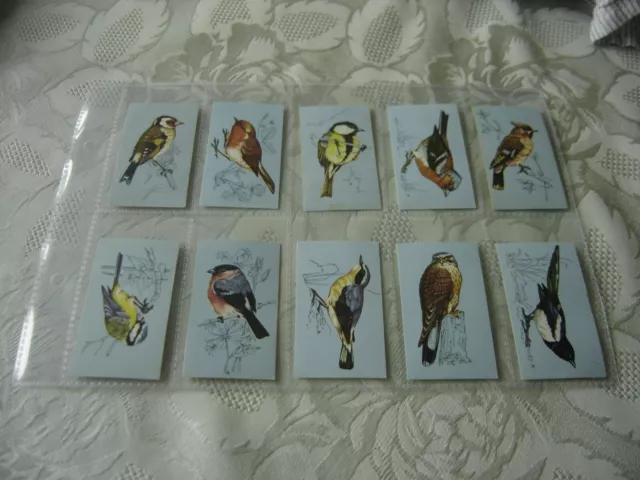 Tetley Tea Cards British Birds 1970 Splended Mint Condition.