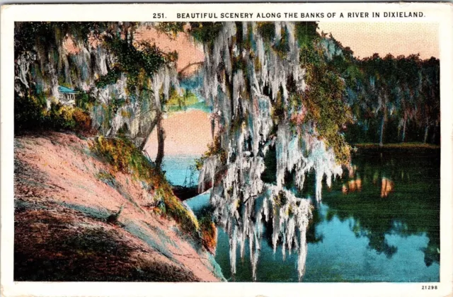 Beautiful Scenery Banks River Dixieland Postcard VTG UNP Curt Teich Vintage