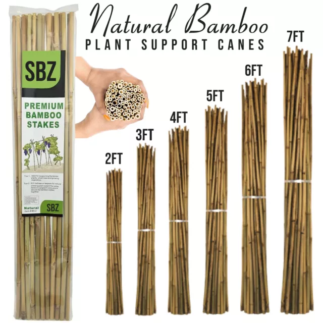 Bamboo Garden Canes Strong Thick Quality Plant Support Stick 2FT 3FT 4FT 5FT 6FT