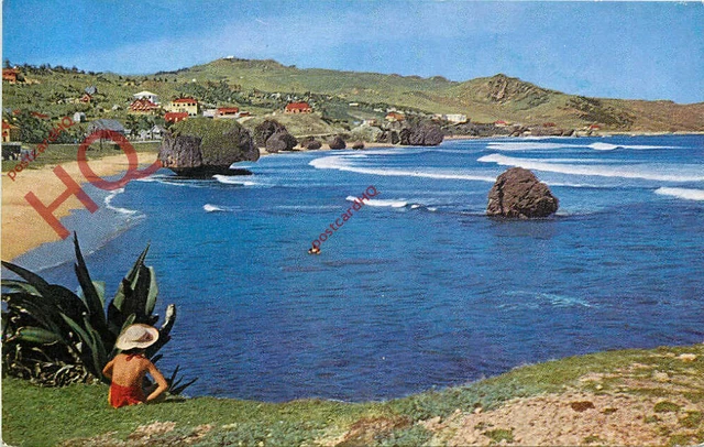 Picture Postcard-:Barbados, Bathsheba, East Coast