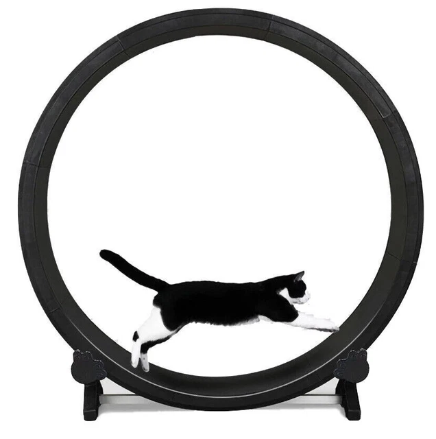 FM Cat Exercise Wheel / Cat Running Wheel - Indoor Cats - Cat Exercise