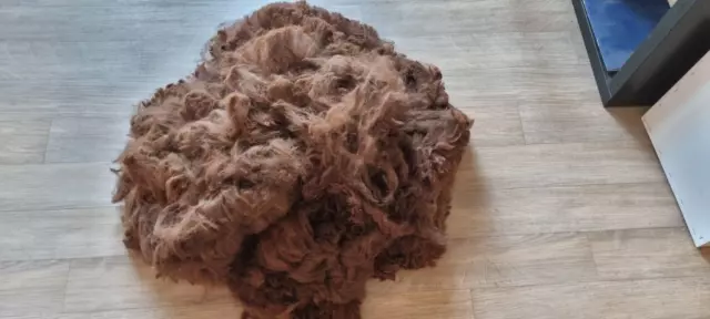 Rockleigh Alpacas - Alpaca Fleece - Brown - Luna - 1000g