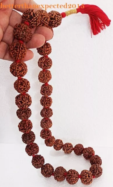 6 Mukhi Rudraksha / Six Visage Rudraksh Mala 32 + 1 Nepal Perles 22-24 MM