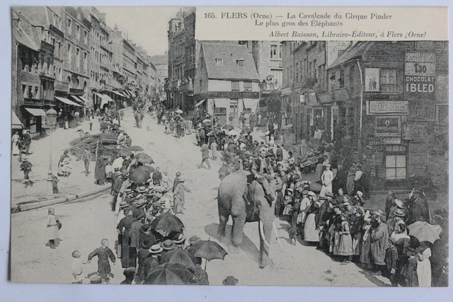 CPA Orne Flers Cavalcade du Cirque Pinder Elephants (53875)