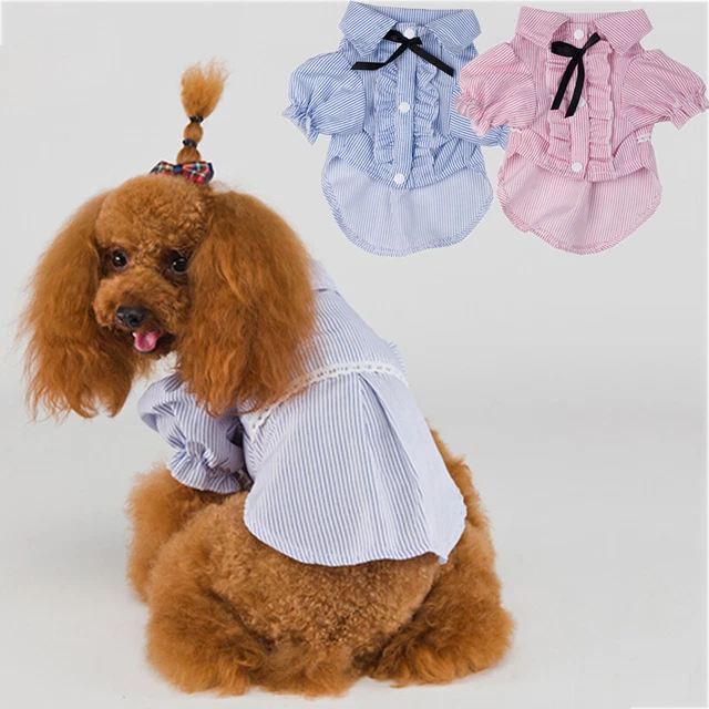 Hund Katzen Kleidung Klein Koreanisches Streifen Shirt Süß Mode für Hausti ,
