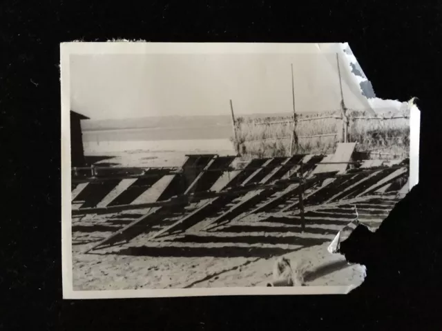 #6399 Japonais Vintage Photo 1940s / Paysage Bord de Mer