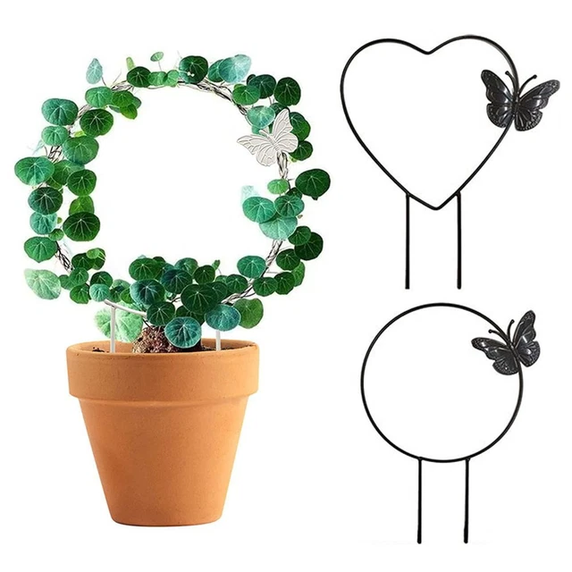 d'art Cadre d'escalade Tige de fixation Support pour plantes Support d'escalade