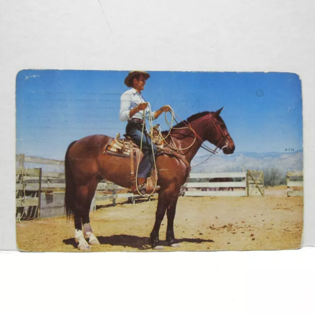 Postcard Vintage Postmarked 1954 Cowboy Wrangler Horse Herding West Animal