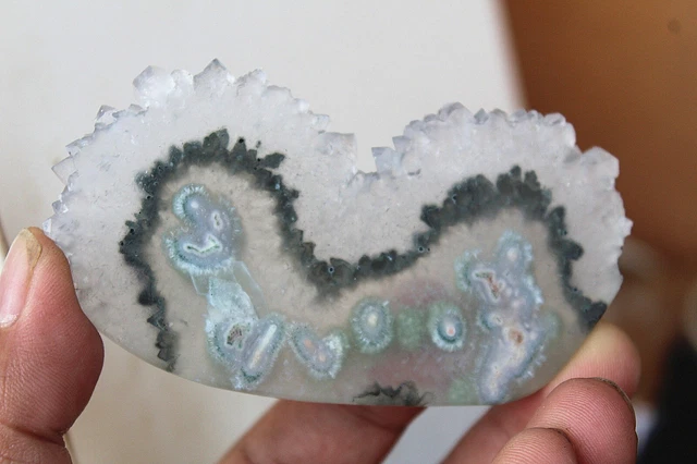 Natural Aquatics Moss Agate Amethyst slice Quartz Crystal Mineral Specimen J23