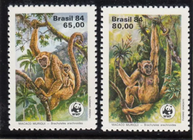 (130039) Spider Monkey Muriqui WWF Brazil MNH 1984