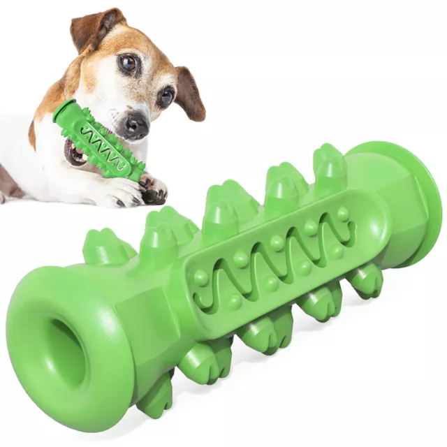 https://www.picclickimg.com/fg0AAOSwoK1k~s8Z/Dog-Toothbrush-Stick-Toys-for-Aggressive-Chewers-Dog.webp
