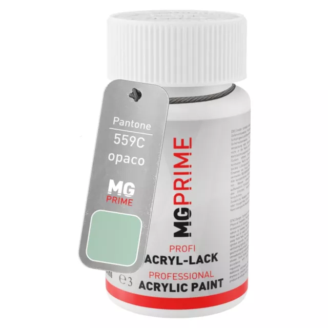 Pantone 559C Green opaco Stilo di ritocco da 50 ml ad asciugatura rapida