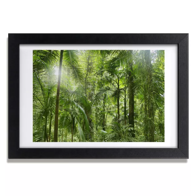 Póster de Arte Fotos en un Marco de Madera MDF 30x20 bosque tropical