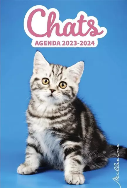Frigobloc mensuel pour les amoureux des chats (édition 2024) - Collectif -  Play Bac - Papeterie / Coloriage - Vivement Dimanche LYON
