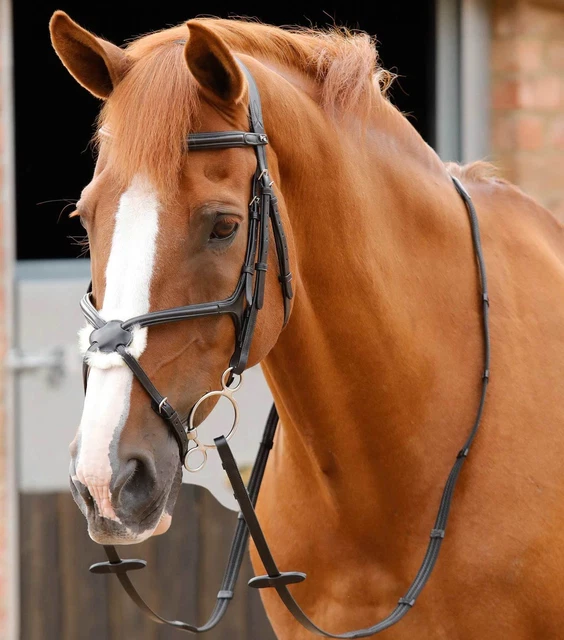 PREMIER EQUINE GLORIOSO Grackle Bridle £100.00 PicClick UK