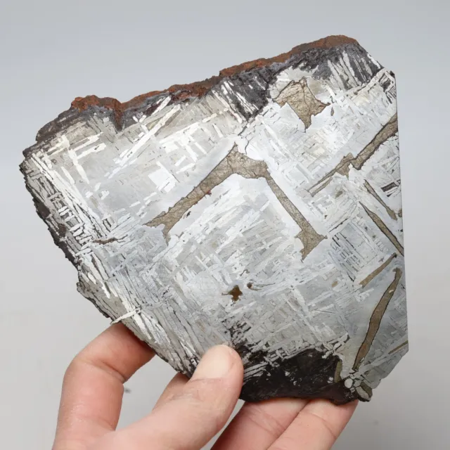 317g  Muonionalusta meteorite part slice C7340